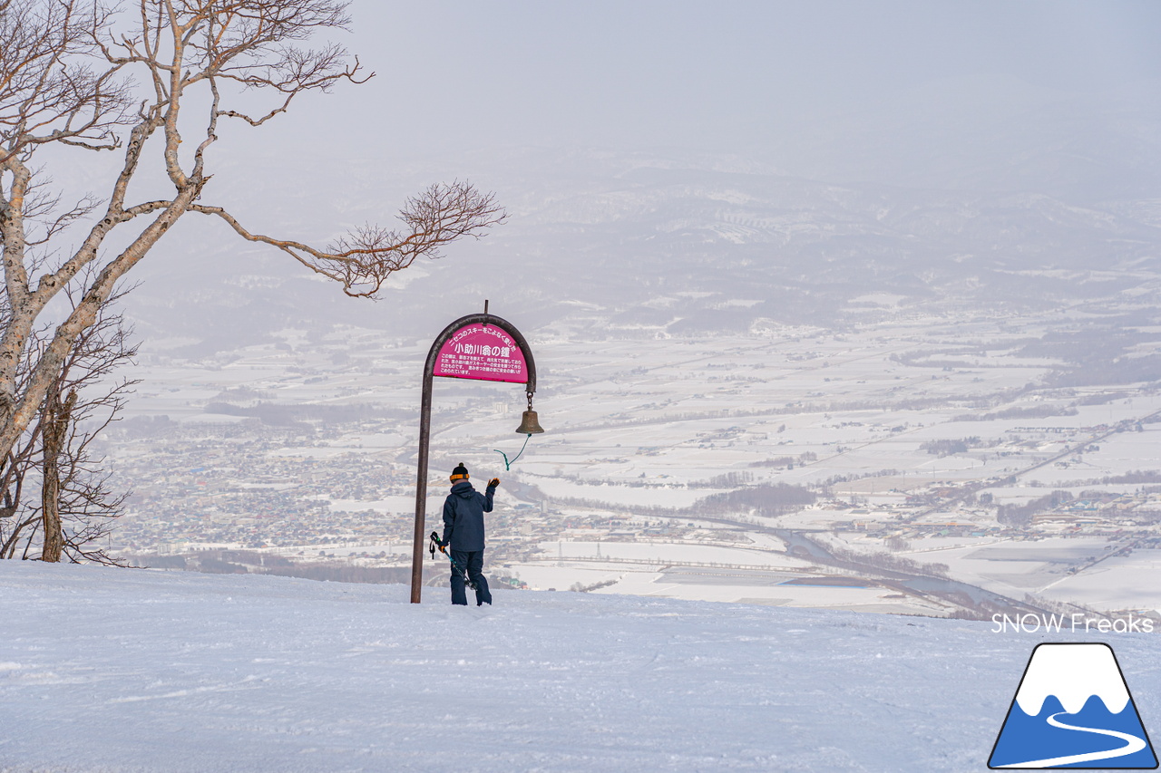 ニセコビレッジ ＆ ニセコHANAZONOリゾート ＆ ニセコ東急 グラン・ヒラフ｜現在も全エリアで山頂から山麓まで大部分滑走可能！とにかく広い世界のニセコ(^^)v